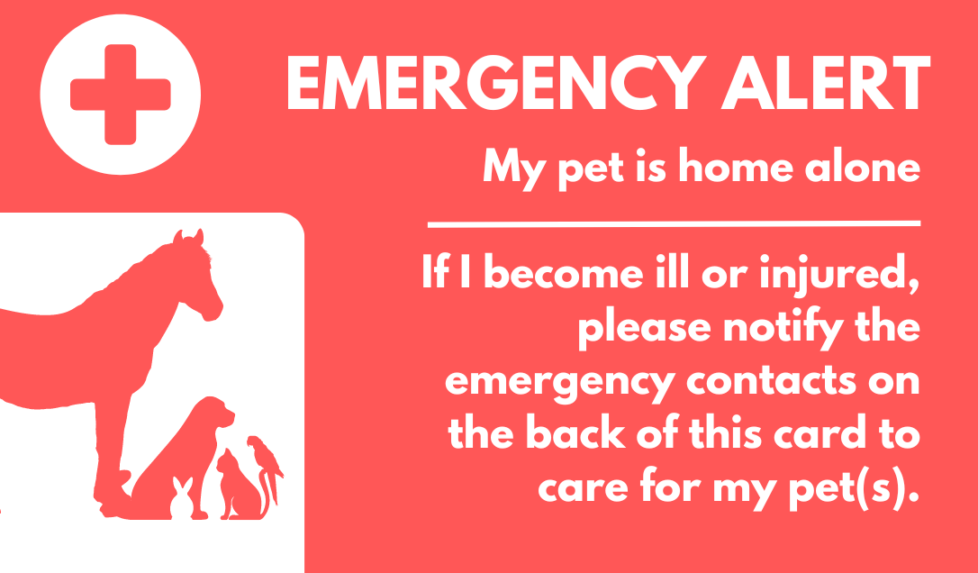 Emergencies and Your Pets Who Are Home Alone Image