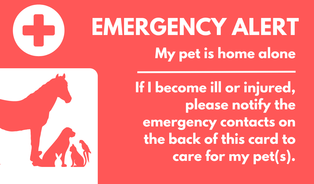 Emergency alert card with information for pets